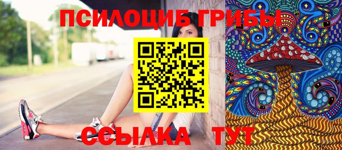 Галлюциногенные грибы Psilocybe Азнакаево